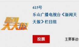 乐山新闻天天报爆料电话,揭秘热线电话背后的故事