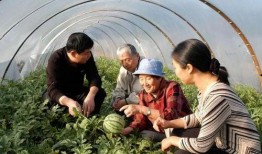 娱乐718.吃瓜王大炮,揭秘吃瓜王大炮的瓜界传奇