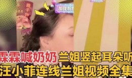 兰姐爆料汪小菲视频在线观看,独家在线观看幕后真相