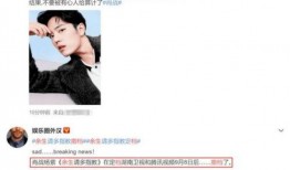 肖战杨紫路人被爆料视频,真相与争议并存