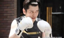 梁凤秀爆料老马视频播放,真相与争议并存