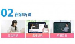 小鱼视频爆料网站入口官网,独家爆料，热门资讯一手掌握