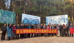 马山扶富不扶贫爆料新闻,揭开扶贫背后的真相