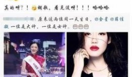 日娱圈内人爆料的小说,揭秘日娱圈幕后秘闻