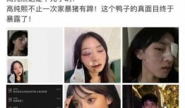 某网红被男友爆料视频大全,揭秘背后真相与情感纠葛