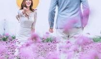 花海情缘在线观看,浪漫邂逅，谱写青春恋曲