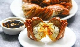 螃蟹热点爆料视频大全,揭秘海洋生物的奇妙世界
