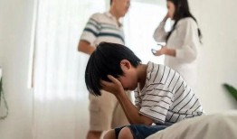 橘子被爆料视频在线观看