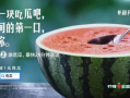 情不由己围炉吃瓜免费,免费畅享夏日清凉盛宴