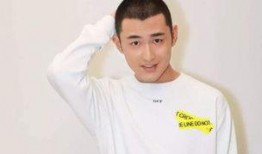 娱乐圈爆料王彦霖,娱乐圈爆料王，揭秘明星幕后故事