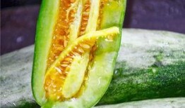 吃网红的瓜最新,吃瓜群众如何紧跟“网红瓜”潮流