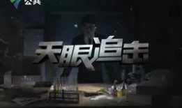 天眼粤语版在线观看,揭秘神秘事件，在线观看探秘之旅