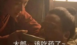 大郎夫妇爆料视频大全集,揭秘背后惊人真相