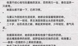 爆料娱乐圈小说完结,揭秘明星背后的秘密