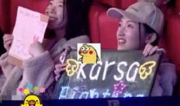 妖风小姐姐爆料视频,揭秘娱乐圈幕后真相