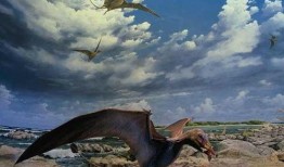 风神翼龙最新爆料视频