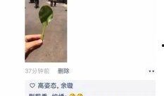 班级爆料搞笑段子视频完整版,搞笑段子视频完整版，笑料百出，欢乐无限