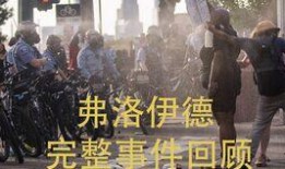 成都公园爆料事件始末视频,真相与争议的交织
