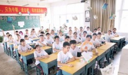 聊城高中爆料案件最新,揭开校园安全与监管的隐秘面纱