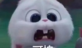 网红网曝吃瓜事件真相是真的吗,真相揭秘，是真是假？
