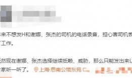 爆料张杰录音视频大全集,揭秘音乐才子的幕后魅力
