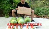娱乐搞笑吃瓜视频大全集,笑点满满，欢乐无限