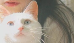 猫脸女孩爆料视频,揭秘视频背后的惊人真相