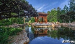 口袋官方大舌头最新爆料,口袋官方最新爆料深度解析