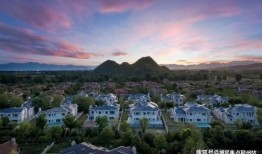 口袋官方大舌头最新爆料,口袋官方最新爆料深度解析