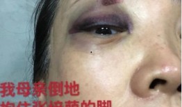 暴力闺蜜爆料视频大全,真实情感与背叛的碰撞