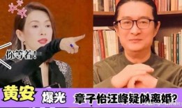 大郎夫妇爆料视频大全集,揭秘背后惊人真相