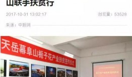 鸿阜园最新爆料新闻事件,揭秘事件背后惊人真相