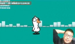 王师傅爆料暴雪视频,暴雪视频背后的惊人真相