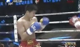 武林风直播在线观看i,在线观战，领略中华武术风采