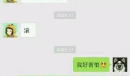 微信免费吃瓜聊天记录图文,揭秘网络社交的趣味与陷阱