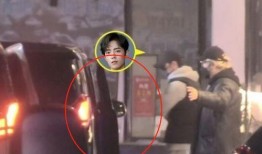 肖战杨紫路人被爆料视频,真相与争议并存