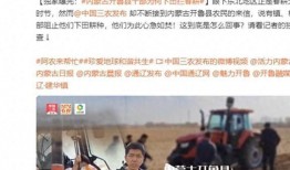 石湾热点爆料新闻报道视频,最新视频揭露惊人内幕
