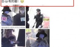 肖战杨紫路人被爆料视频,真相与争议并存