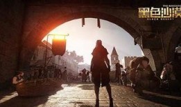 最新沙漠爆料新闻视频,揭秘最新沙漠爆料视频背后的震撼景象