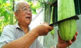 南阳网红大爷吃瓜视频,趣味横生，揭秘民间生活百态