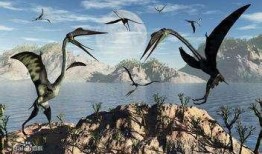 风神翼龙最新爆料视频