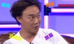 明星爆料娱乐圈,揭秘幕后真相与情感纠葛