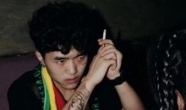 达芬奇歌手爆料视频下载,爆料视频背后的惊人真相