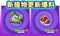 新年僵尸爆料视频播放大全,惊悚瞬间尽收眼底