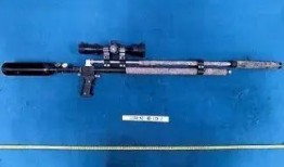 第一枪爆料视频大全,揭秘幕后真相，带你走进事件核心