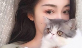猫脸女孩爆料视频,揭秘视频背后的惊人真相