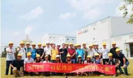 阳西新圩最新爆料事件,揭秘事件背后真相