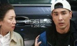 同盟第28集在线观看,揭秘暗流涌动的阴谋与背叛