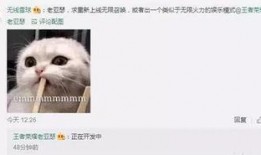 策划八哥爆料视频大全下载,视频大全下载攻略全解析