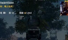 大司马绝地求生爆料视频,独家内幕大公开